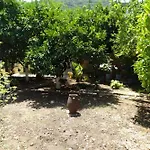 Διαμέρισμα Grapevine *