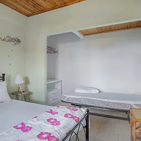 Grapevine Poros (Kefalonia)