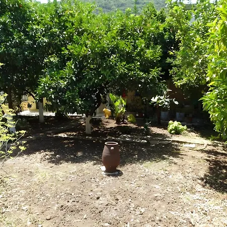 Grapevine Apartment Poros (Kefalonia)