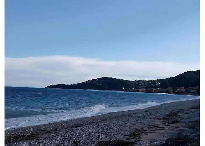 Апартаменты Grapevine *